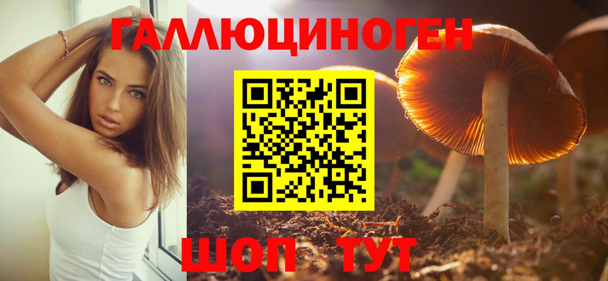 Псилоцибиновые грибы ЛСД  Вход с VPN  Каменск-Шахтинский  Псилоцибиновые грибы Magic Shrooms 
