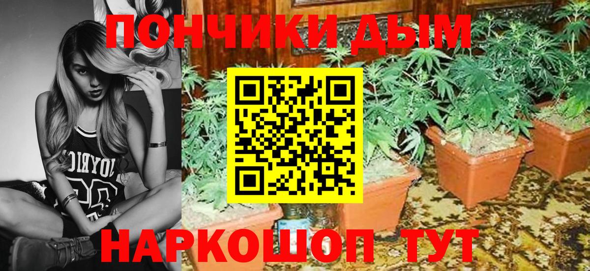 Конопля Amnesia Каменск-Шахтинский
